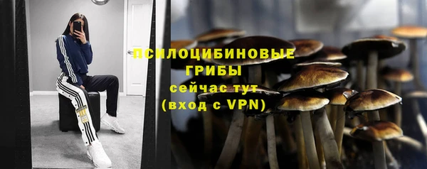 молекула духа Верхний Тагил