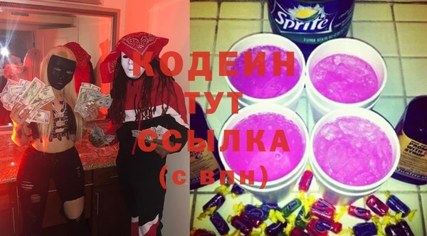 крисы Слюдянка
