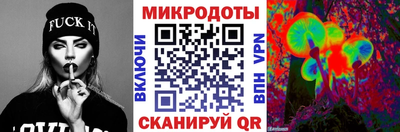 Галлюциногенные грибы Psilocybe  Горячий Ключ 